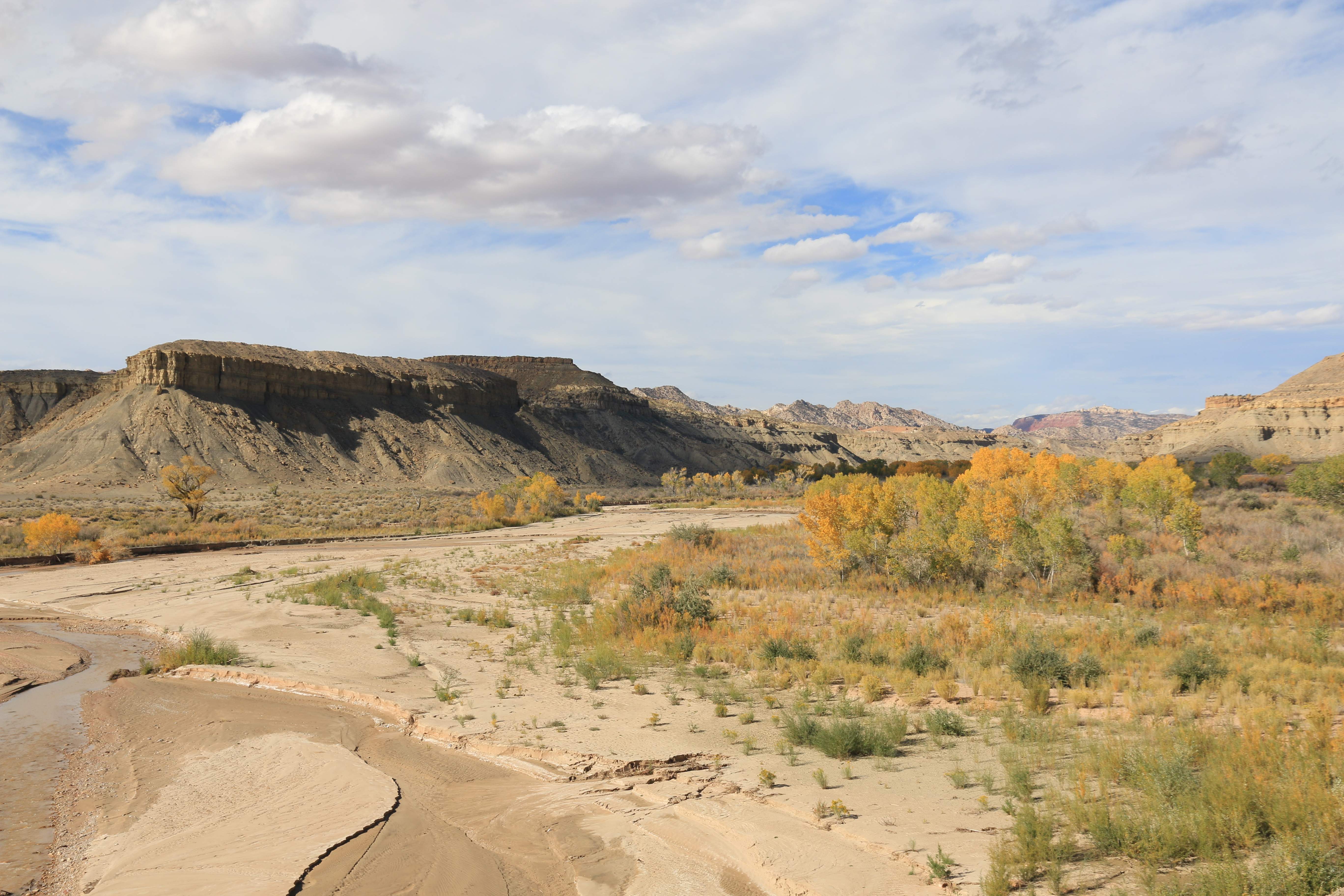 Escalante